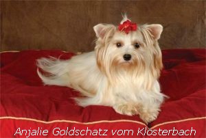 Anjalie Goldschatz vom Klosterbach.jpg