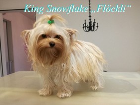 King Snowflake.jpg